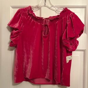 Free people pink velvet top